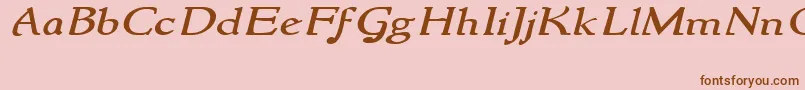 NewstylewideItalic Font – Brown Fonts on Pink Background