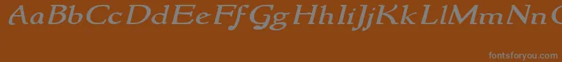 フォントNewstylewideItalic – 茶色の背景に灰色の文字