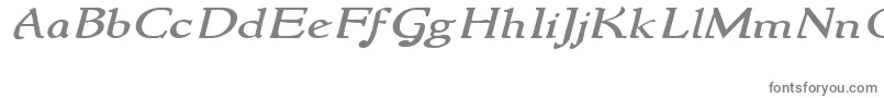 NewstylewideItalic Font – Gray Fonts on White Background