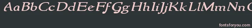 NewstylewideItalic-fontti – vaaleanpunaiset fontit mustalla taustalla