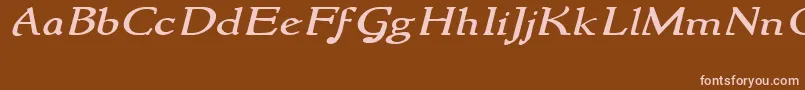 NewstylewideItalic Font – Pink Fonts on Brown Background