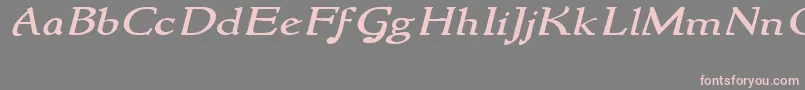 NewstylewideItalic Font – Pink Fonts on Gray Background