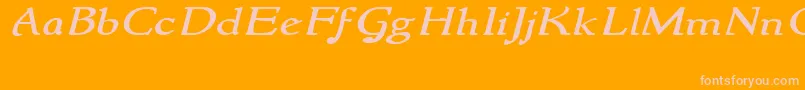 NewstylewideItalic Font – Pink Fonts on Orange Background