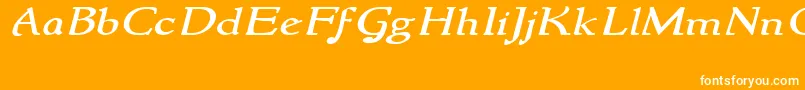 NewstylewideItalic-fontti – valkoiset fontit oranssilla taustalla
