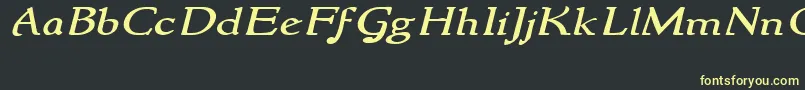 フォントNewstylewideItalic – 黒い背景に黄色の文字