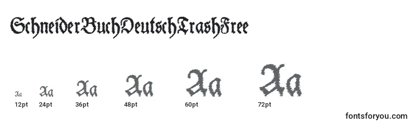 Размеры шрифта SchneiderBuchDeutschTrashFree
