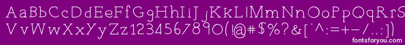 EverydayTypo Font – White Fonts on Purple Background