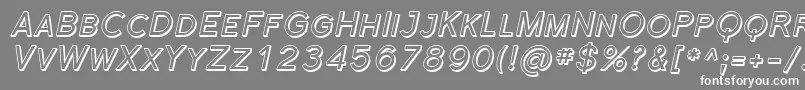 SfflorencesansscshadedItal Font – White Fonts on Gray Background