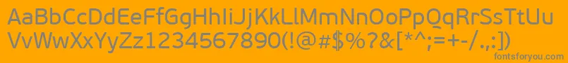 PfbeausansproRegular Font – Gray Fonts on Orange Background