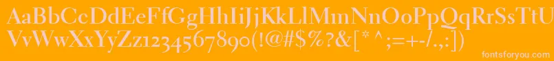 ElectraLhBoldOldstyleFigures Font – Pink Fonts on Orange Background