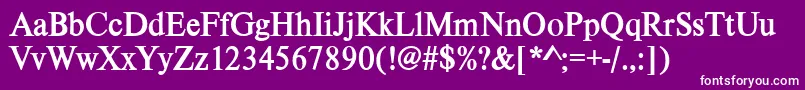 VietnamesetimessskBold Font – White Fonts on Purple Background