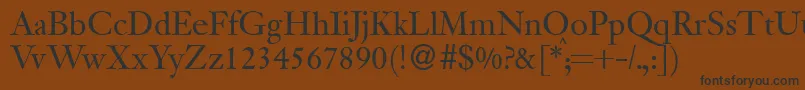 JanadbNormal Font – Black Fonts on Brown Background