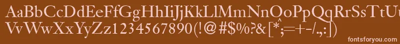 JanadbNormal Font – Pink Fonts on Brown Background