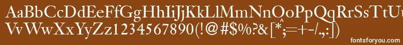 JanadbNormal Font – White Fonts on Brown Background
