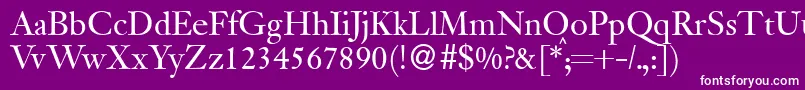 JanadbNormal Font – White Fonts on Purple Background
