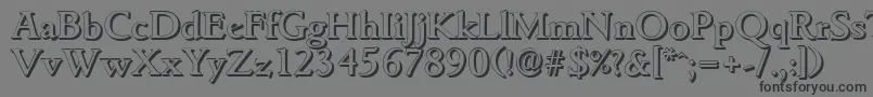 GouditashadowMediumRegular Font – Black Fonts on Gray Background