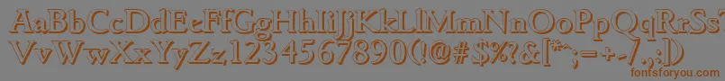 GouditashadowMediumRegular Font – Brown Fonts on Gray Background