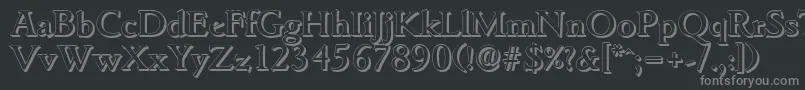 GouditashadowMediumRegular Font – Gray Fonts on Black Background