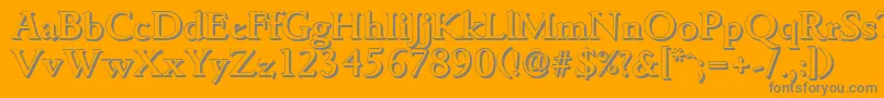 GouditashadowMediumRegular Font – Gray Fonts on Orange Background