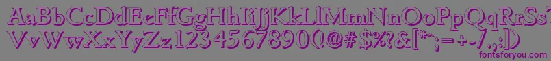 GouditashadowMediumRegular Font – Purple Fonts on Gray Background