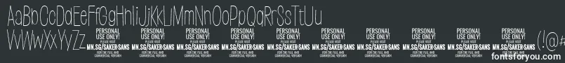 SakersansthinPersonalUse Font – White Fonts