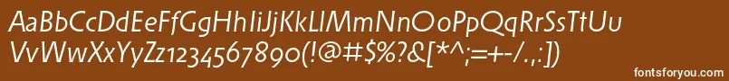 フォントSolperaosfItalic – 茶色の背景に白い文字