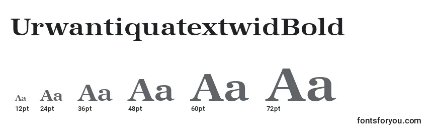 Größen der Schriftart UrwantiquatextwidBold