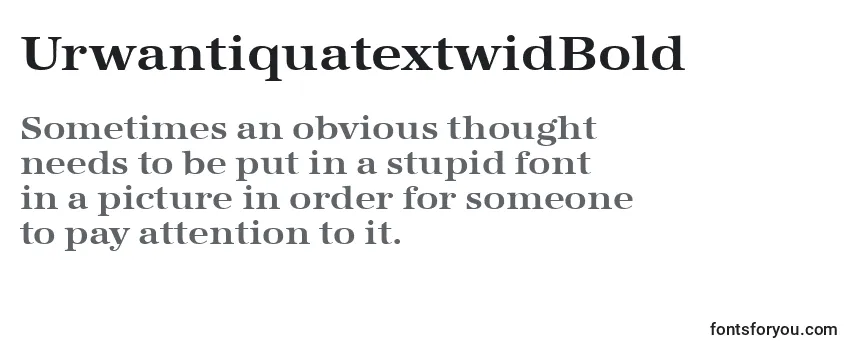 Review of the UrwantiquatextwidBold Font
