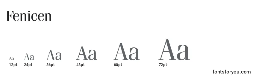Fenicen Font Sizes