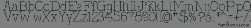 DjbHollyTyped Font – Black Fonts on Gray Background