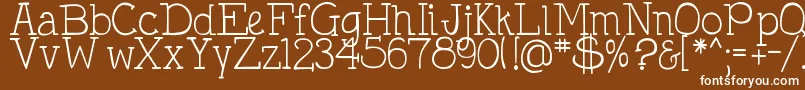 DjbHollyTyped Font – White Fonts on Brown Background