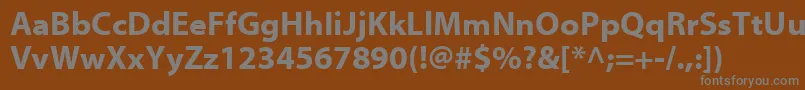 フォントMyriadWebРџРѕР»СѓР¶РёСЂРЅС‹Р№ – 茶色の背景に灰色の文字