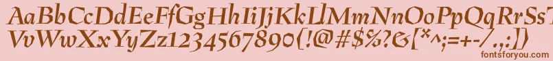 PreissigantikvaBolditalic Font – Brown Fonts on Pink Background