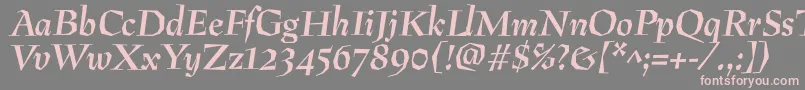 Шрифт PreissigantikvaBolditalic – розовые шрифты на сером фоне