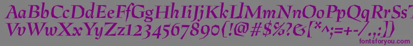 PreissigantikvaBolditalic Font – Purple Fonts on Gray Background