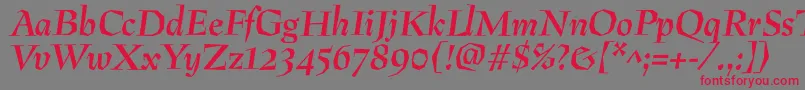 フォントPreissigantikvaBolditalic – 赤い文字の灰色の背景