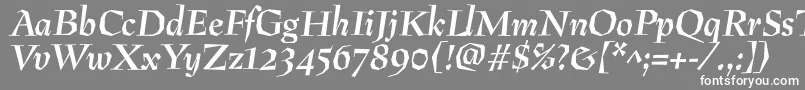 フォントPreissigantikvaBolditalic – 灰色の背景に白い文字