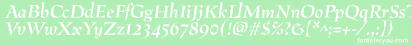 PreissigantikvaBolditalic Font – White Fonts on Green Background