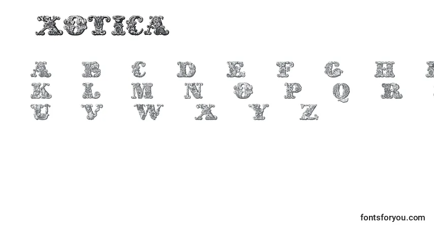 Exotica Font – alphabet, numbers, special characters