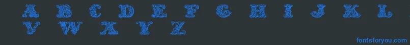Exotica Font – Blue Fonts on Black Background