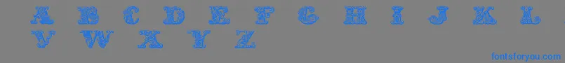 Exotica Font – Blue Fonts on Gray Background