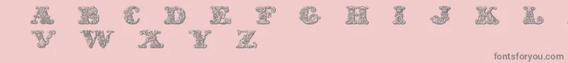 Exotica Font – Gray Fonts on Pink Background