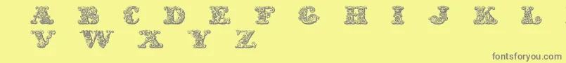 フォントExotica – 黄色の背景に灰色の文字