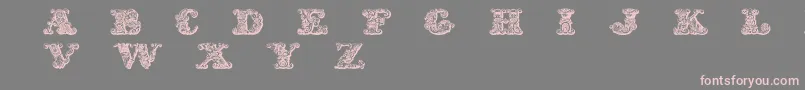 Exotica-fontti – vaaleanpunaiset fontit harmaalla taustalla
