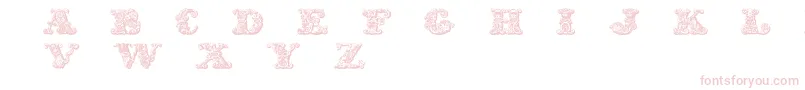 Exotica Font – Pink Fonts on White Background
