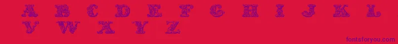 Exotica-Schriftart – Violette Schriften auf rotem Hintergrund