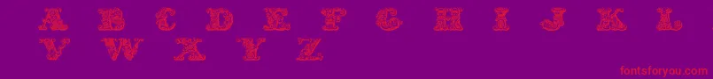 Exotica Font – Red Fonts on Purple Background