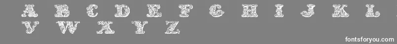 フォントExotica – 灰色の背景に白い文字