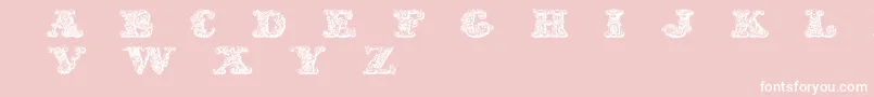 Exotica Font – White Fonts on Pink Background