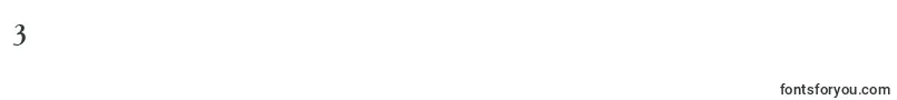 JensonClassicoBolditalic Font – Fonts for Digit 3